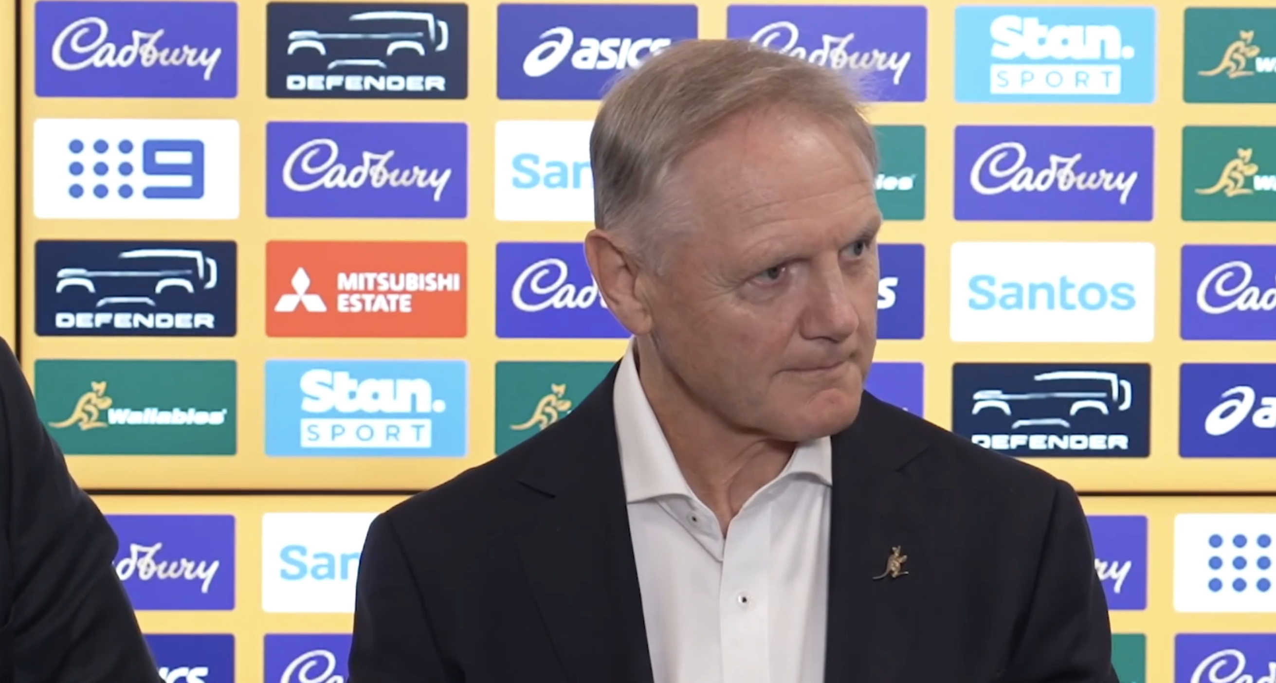 Joe Schmidt to leave Wallabies post later this year